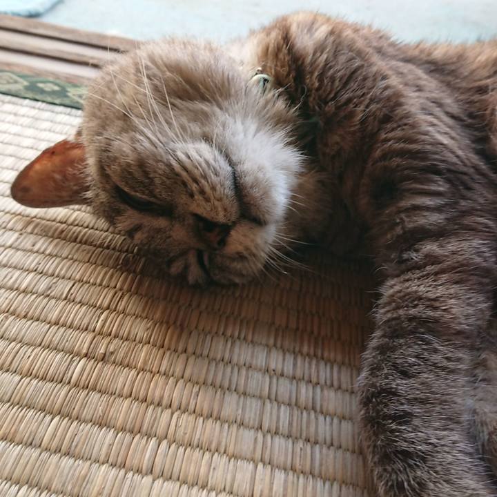 Cd6db8c0 0ba3 4b9d 8926 70153dc17613 1567833557419