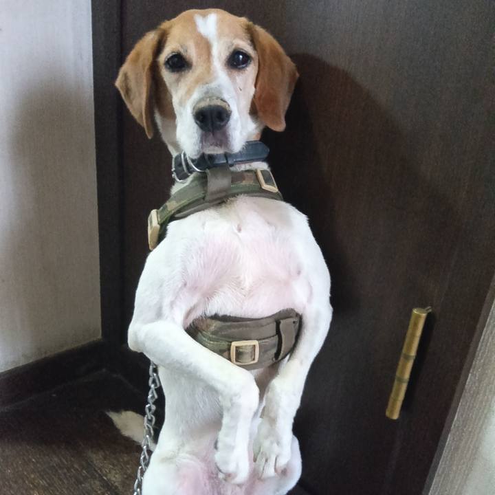 Cd6dc2f0 ce8f 4f28 b27b dbc8478e78ac 1733461021042