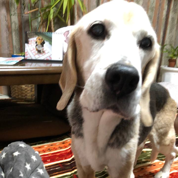 Cd6dcc36 5521 425e 86f9 5dfb0cd636a8 1616240830774