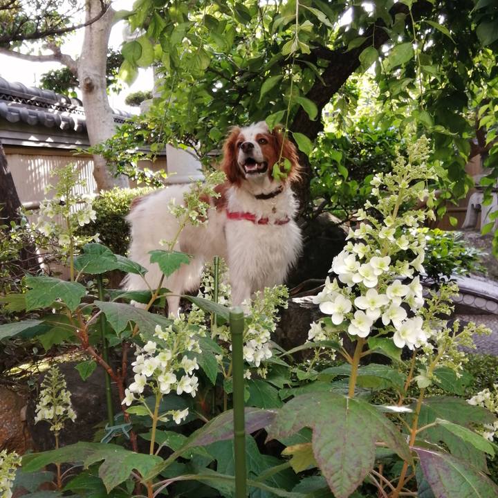 Cd6dce0f f232 4d91 ae95 a0c5b1374bf7 1590053619114