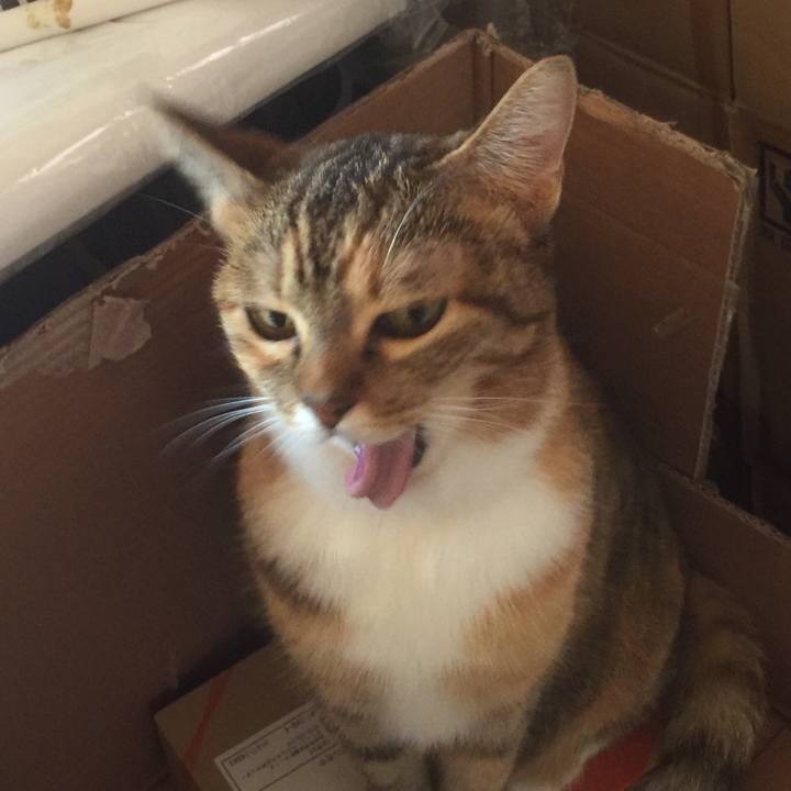 Cd6dce94 40b7 4884 9f8c 37ae2eaf43c8 1572664697240