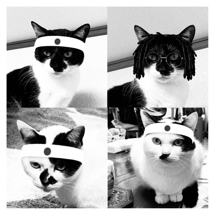 Cd6e1dbd a4b2 45c9 8da7 f16d4b6d8168 1640071721061