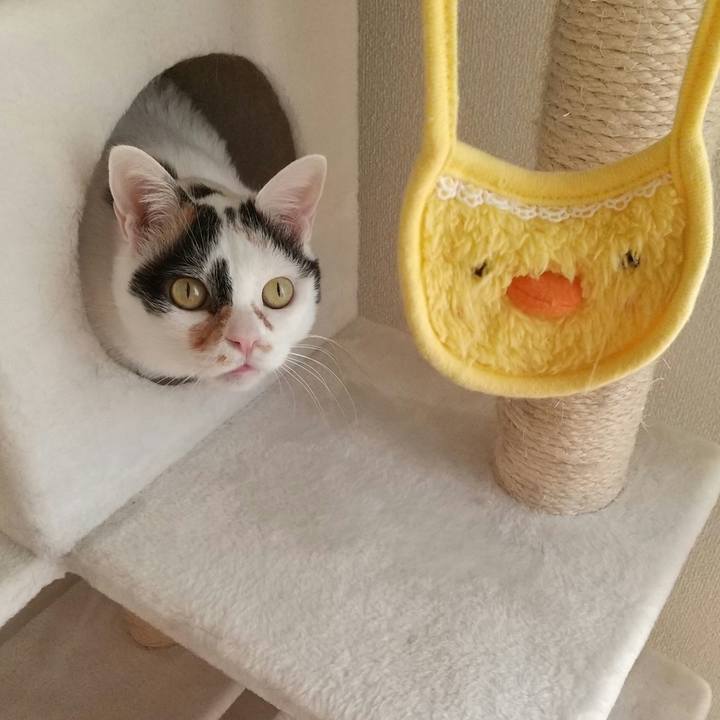 Cd6e2414 b4c2 47b9 9af7 75904df79666 1642586008706