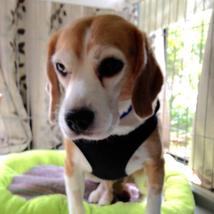 Cd6e4360 5dc0 47a7 961e 32490e4c5e11 1753323566295