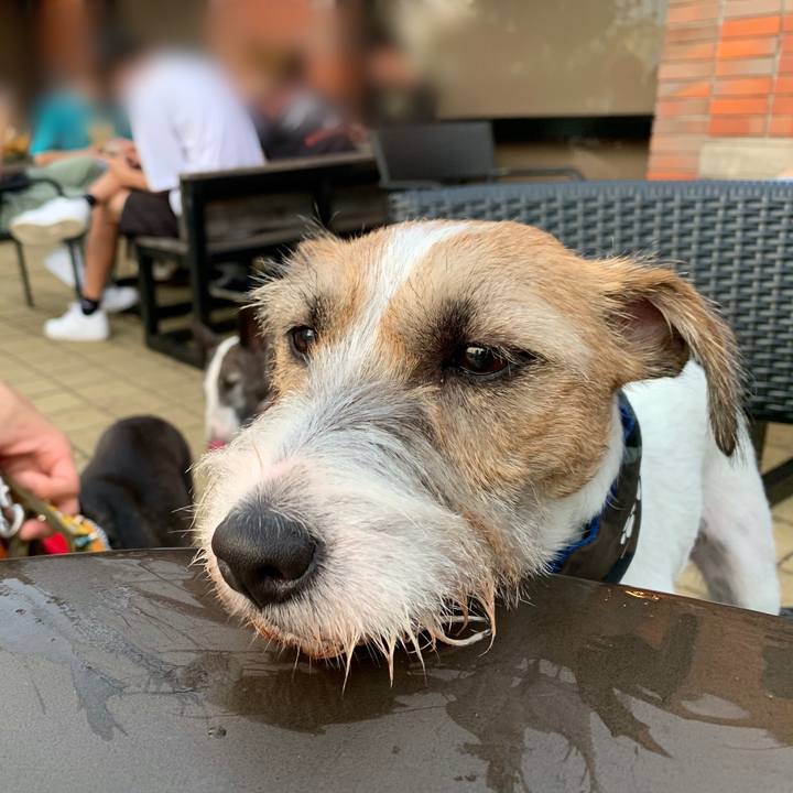 Cd6e5786 c94e 4925 89ec f1bafef26a66 1598183535337