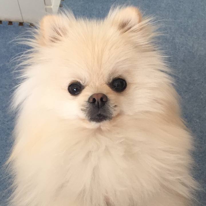 Cd6e6416 2136 45b6 8741 9664f58a9e7a 1515804678808