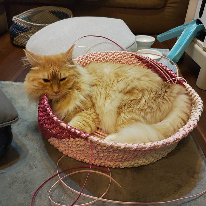 Cd6e701b de37 4b3d 8371 4865b9920ff8 1654466029734