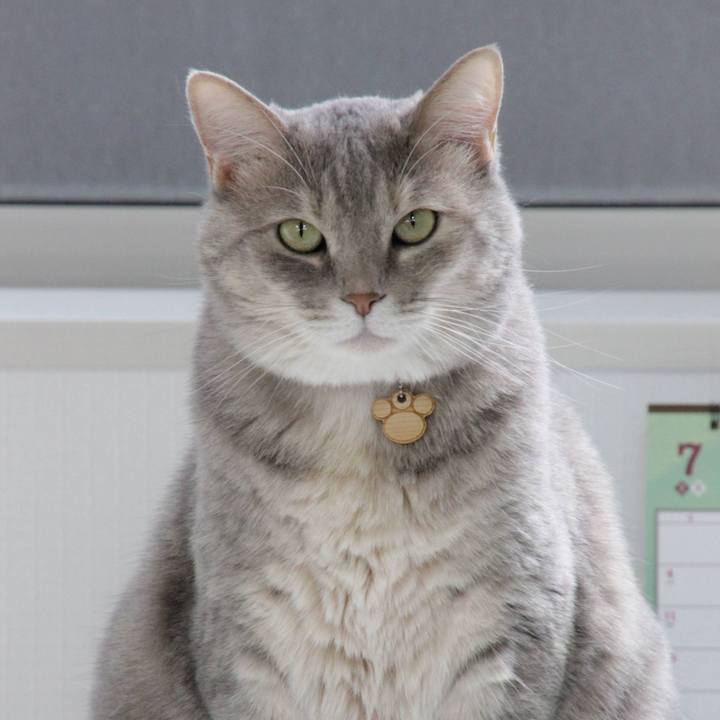 Cd6e9a55 d79c 44b3 a344 55b45136a4de 1626407611997