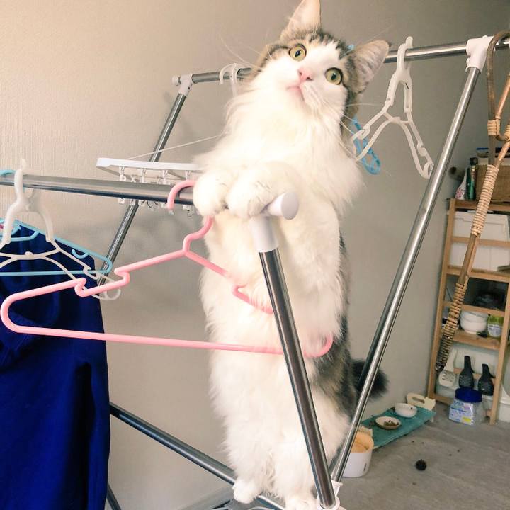 Cd6eb805 ab29 4682 8241 4c52167c7045 1541807476961