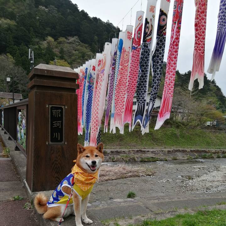 Cd6ed627 c14c 405c b565 e26fec04931f 1650905166182