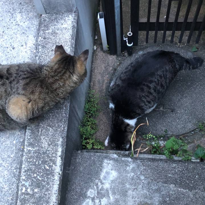 Cd6eec6b d618 401b 8f92 3a7e508c1974 1557741579275