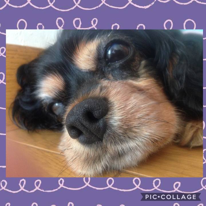 Cd6f03b6 f45f 48cf 8279 2ac26497fff8 1594972505689