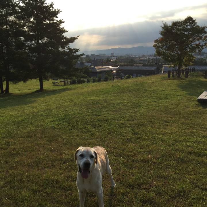 Cd6f121f 3e93 4d38 8b2f e6bfba03690d 1532387389743