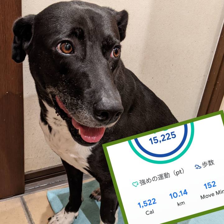 Cd6f31e2 5c4d 41f8 a24b dafc55804e69 1652179489420