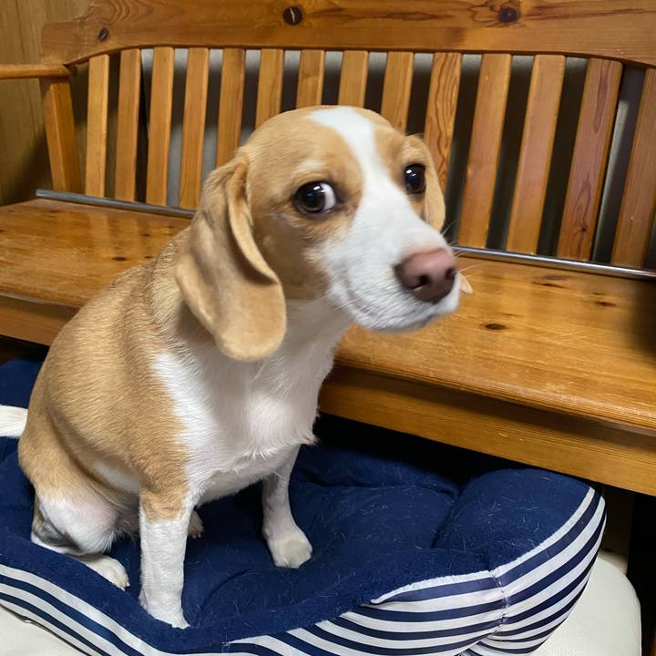 Cd6f54ba e2fb 411d 8c6a 08a16b060e9f 1607340322546