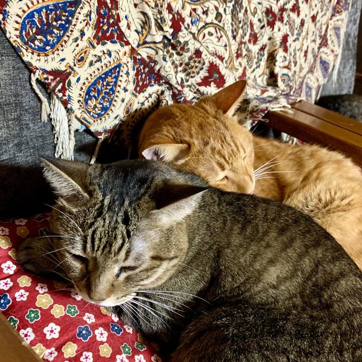 Cd6f8eb6 4383 4dfe b539 3a614ac2d35b 1634293024017