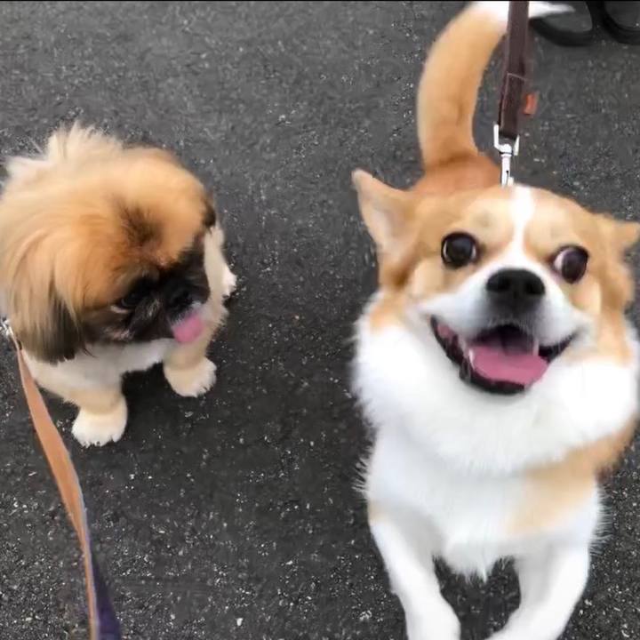 Cd6fe9db 3db6 4868 a967 6a8d4b1b368f 1600920144401