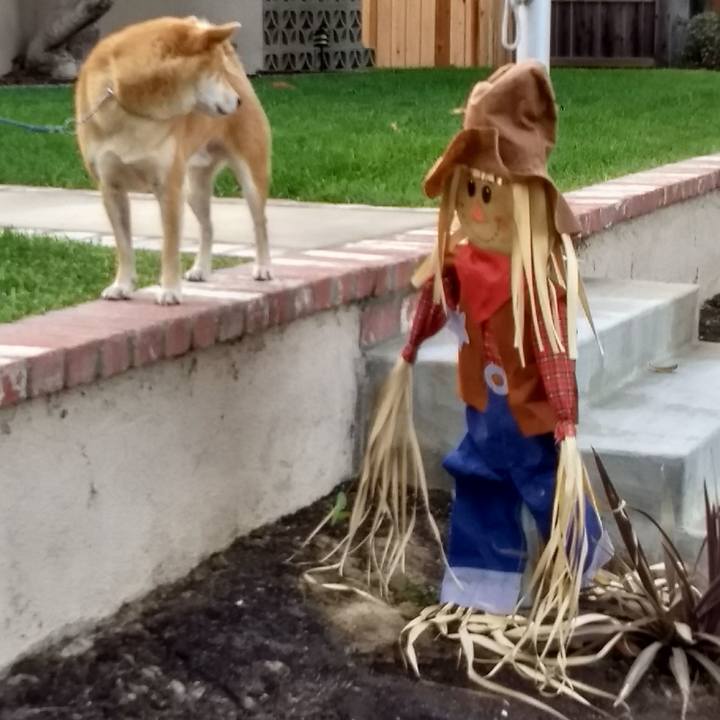 Cd7014c9 613c 4be5 87cd 18d1a3ca5cf1 1510006510582