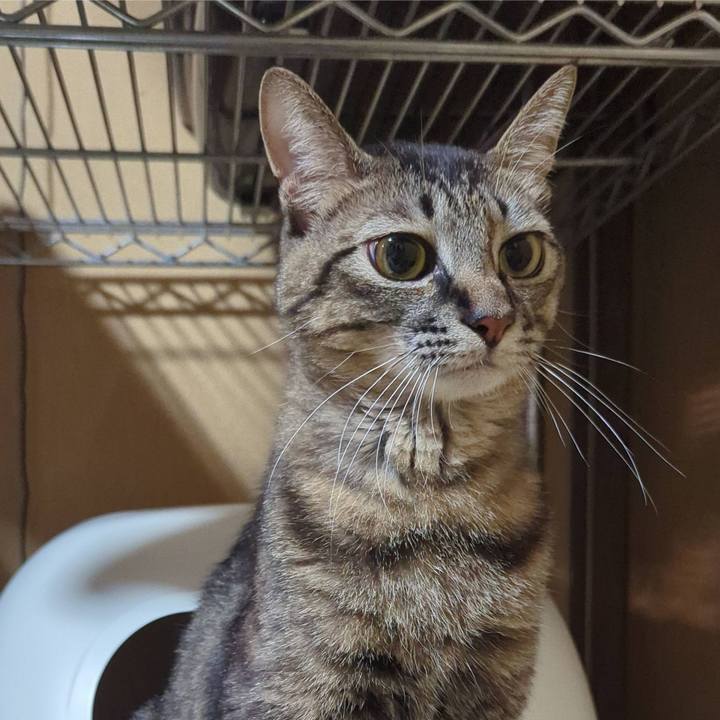 Cd705bcd 9d89 4fd8 ae5e d873e74ff010 1732269425773