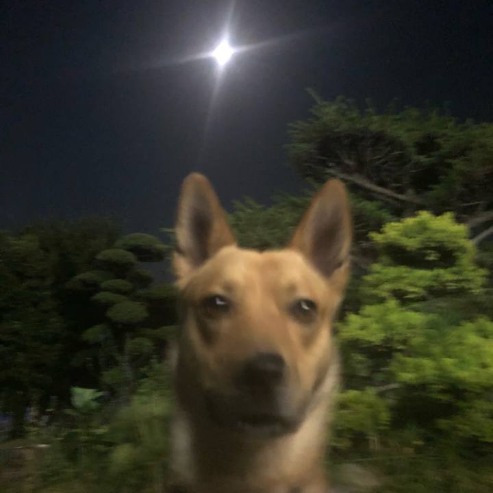 Cd705d4f a59a 4a82 9c7f 6429812ca689 1560434824944