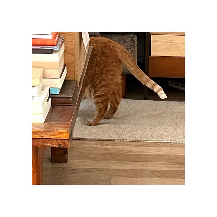 Cd70801a cccf 4275 9416 d3caf57f1978 1668223086309