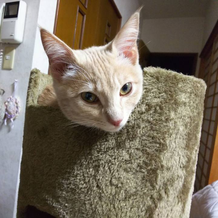 Cd70873f 7f01 4cdf b84a 810aabe41ac4 1542967239246