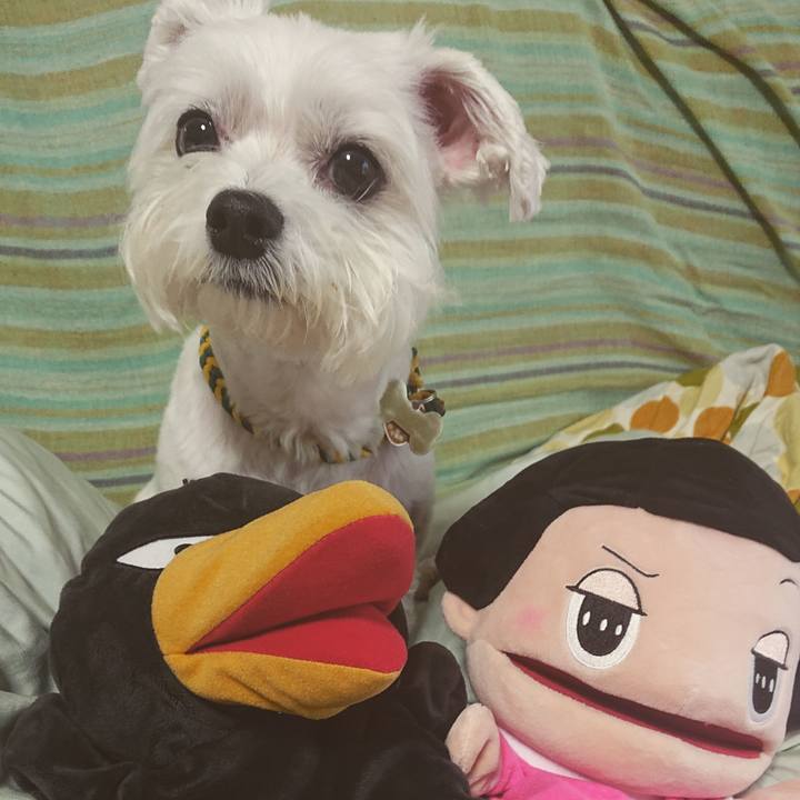 Cd70ae33 bfdb 4499 81dc f3a67d3cab52 1564613446566