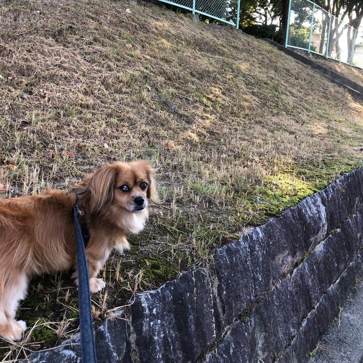 Cd70f21d d559 4e89 9a3f d6d700273006 1570231490321