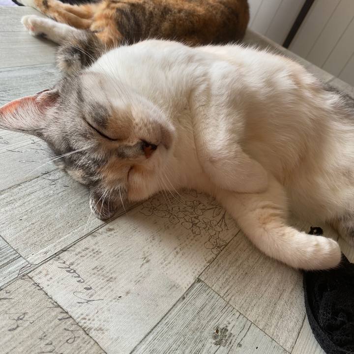 Cd71199e 4dc7 4070 b826 2b08e143d8d8 1600392289835