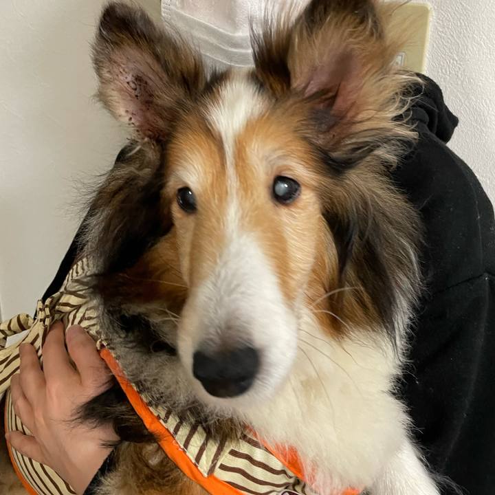 Cd71426f c384 4f0e 91d9 8837857a289c 1638883360302