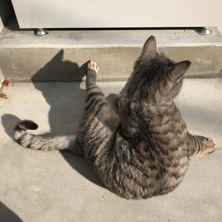 Cd71639f c1cd 430b 9bec 2bbb6a301824 1609366125259