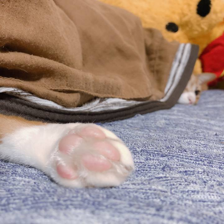 Cd71a381 d356 4234 8eed b60a47227d10 1569241835601