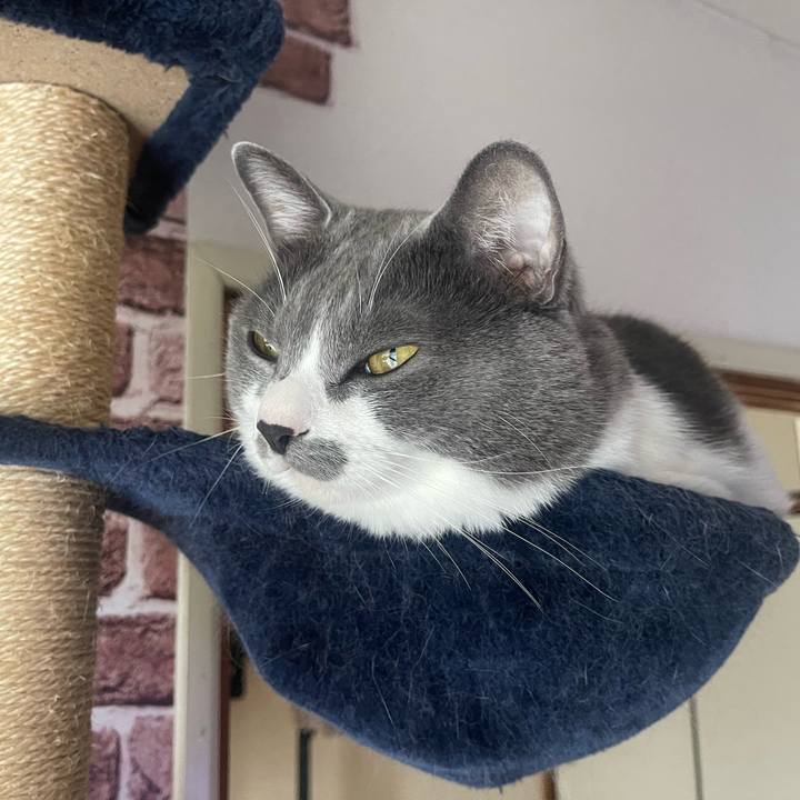 Cd71bc84 3290 458d aa56 885a8f641bb0 1665014777307