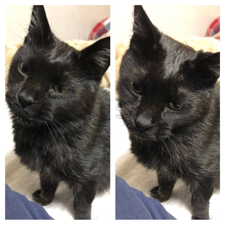 Cd71bd90 0b66 4c6f bd7c 62c7aafd8c3d 1621611382694