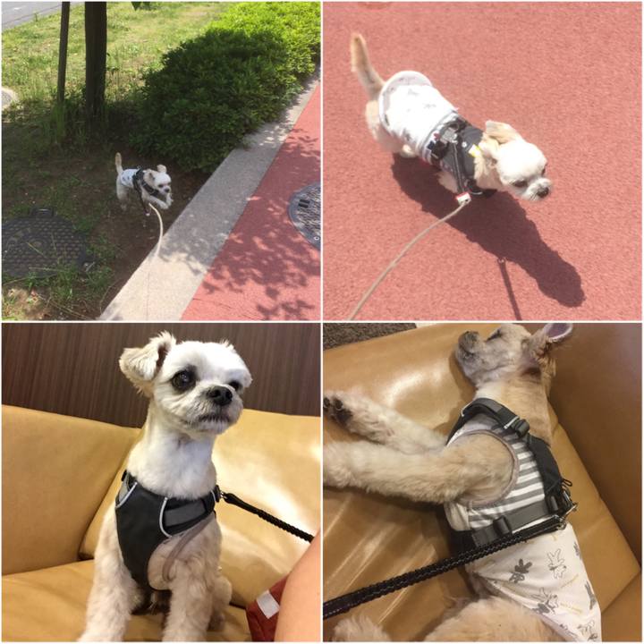 Cd71c5b1 e32e 40ae a29f f8a53e319173 1558851354000