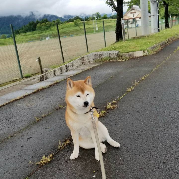 Cd71e44a 54ee 451b 85a0 9786485d1f5e 1622099144670