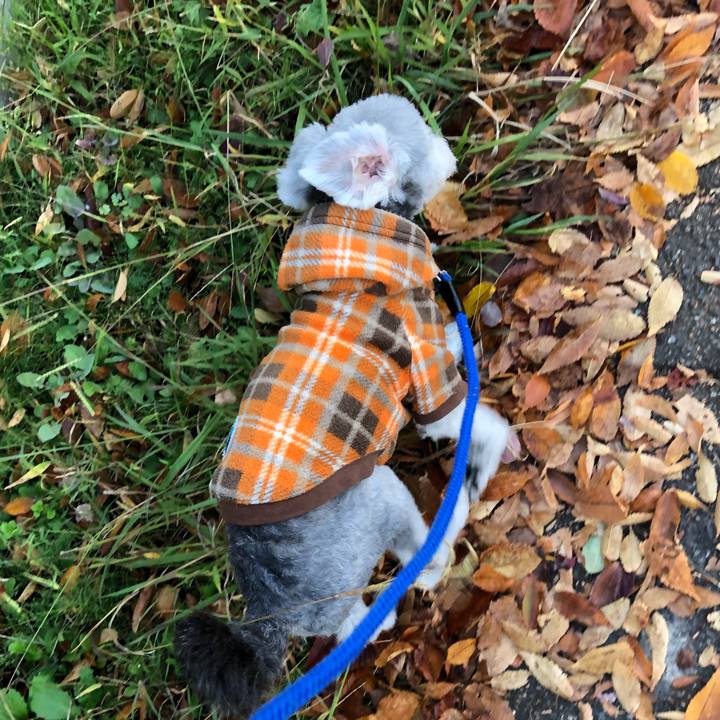 Cd71e87b ea70 41ea a7ab d132e9d1070e 1667443351412