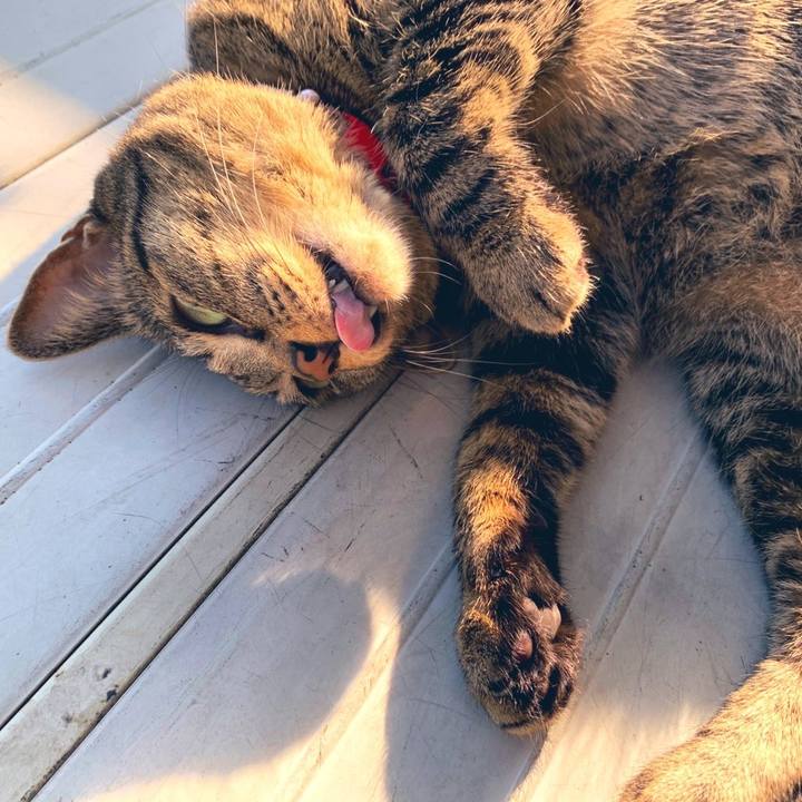 Cd726880 eae9 4a1d 9366 513385a9c623 1572566248965