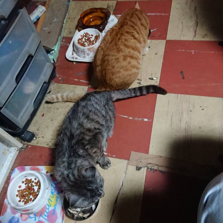 Cd72762c 3cef 49f2 8892 f1b9df73773c 1566850489337