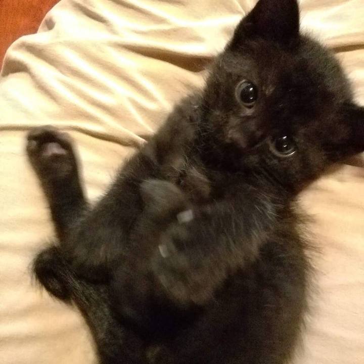 Cd728def 0347 496c a3ce 4f71d9978885 1593580483220