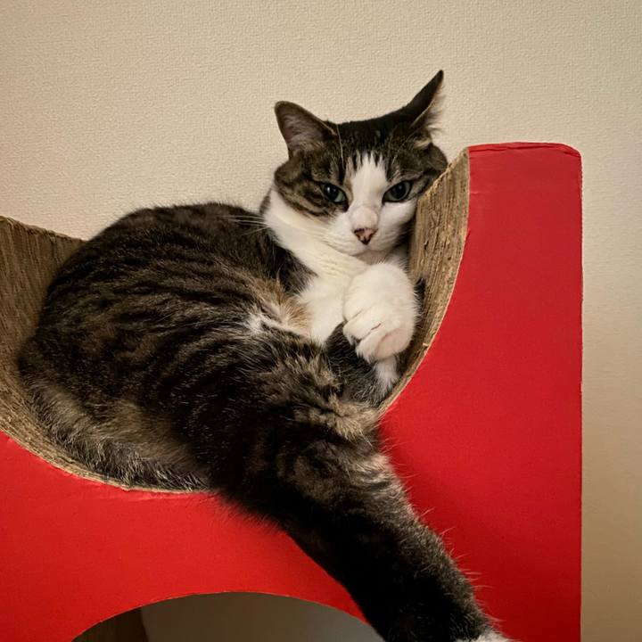 Cd729061 f6c8 4bfb ba83 2dcb4910927d 1684128179444