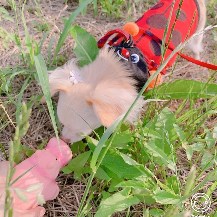 Cd72f244 87d8 4048 8892 8fde5838ab31 1624444200227