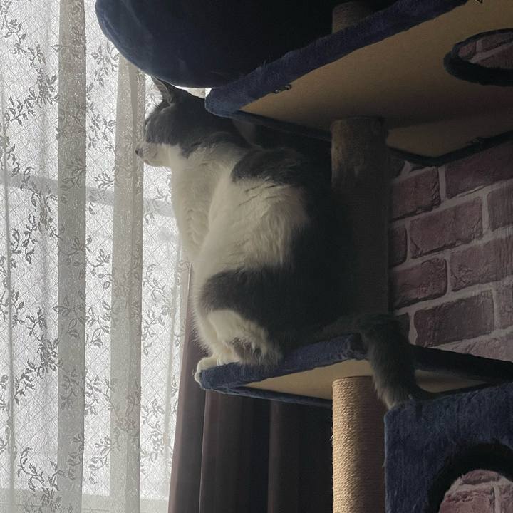 Cd730a3e e42a 4054 807d fb606157456a 1746745834889