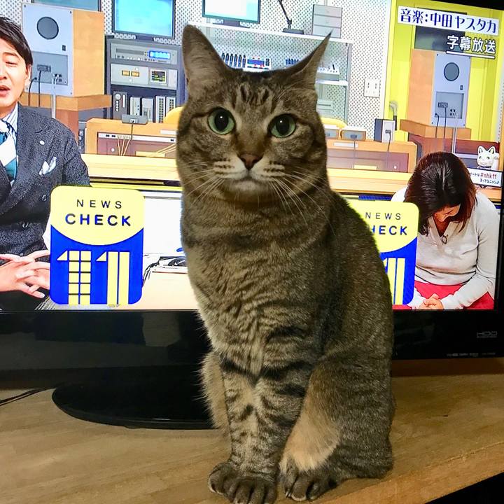 Cd730e74 4dd0 4344 8c2e e253926dad20 1510323664272