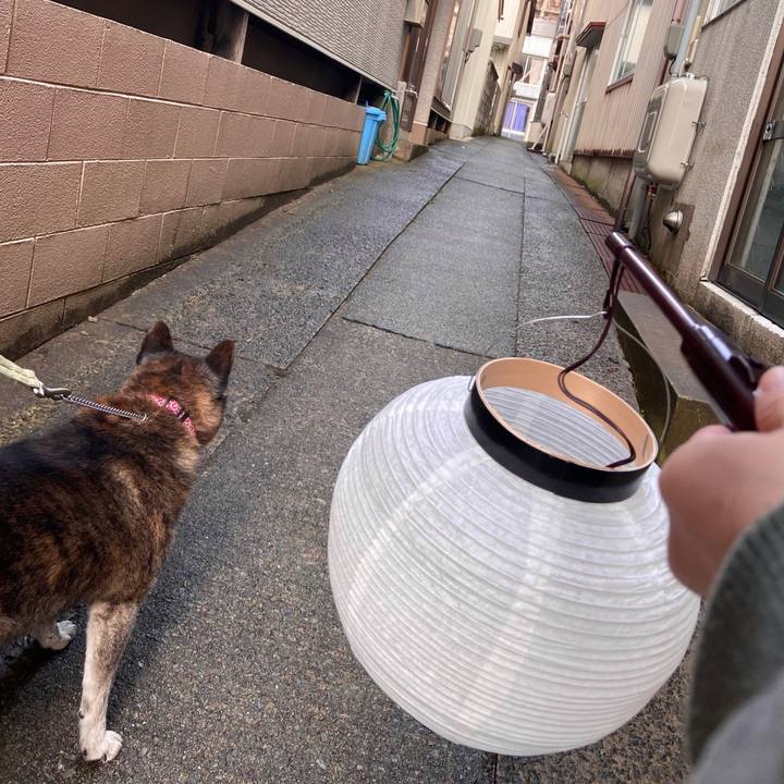 Cd732eb5 0cad 4cfd 999d f841cfacf5bd 1673151627423