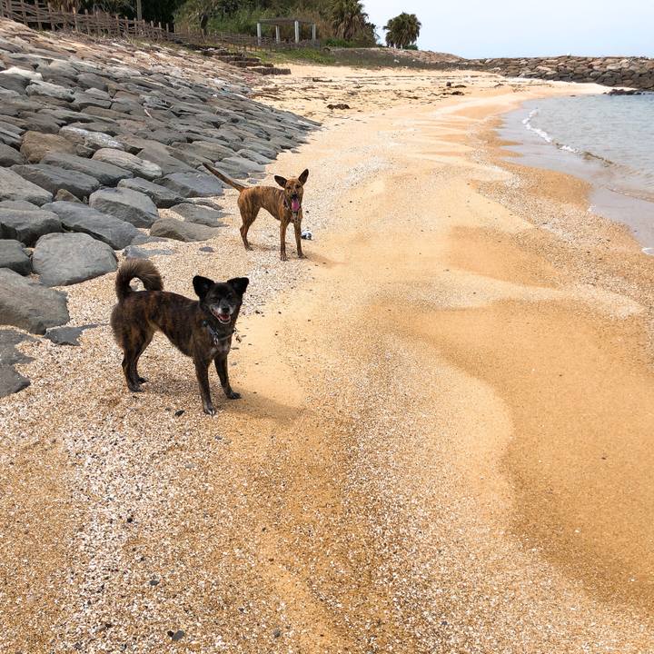 Cd7336c2 ab0b 4317 8b2b 2e5266d9befb 1587012031501