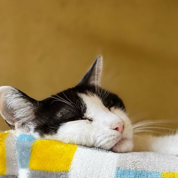 Cd733ad0 1a84 4c61 b415 9846d7cf3630 1698109491394