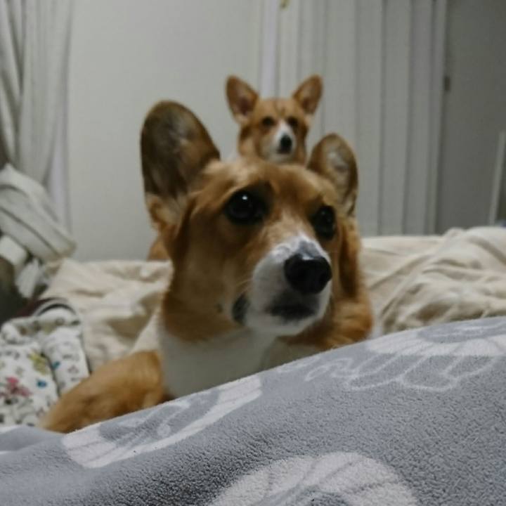 Cd736ebe 46ee 4e96 931e c94fdf6ccc8b 1542702050601