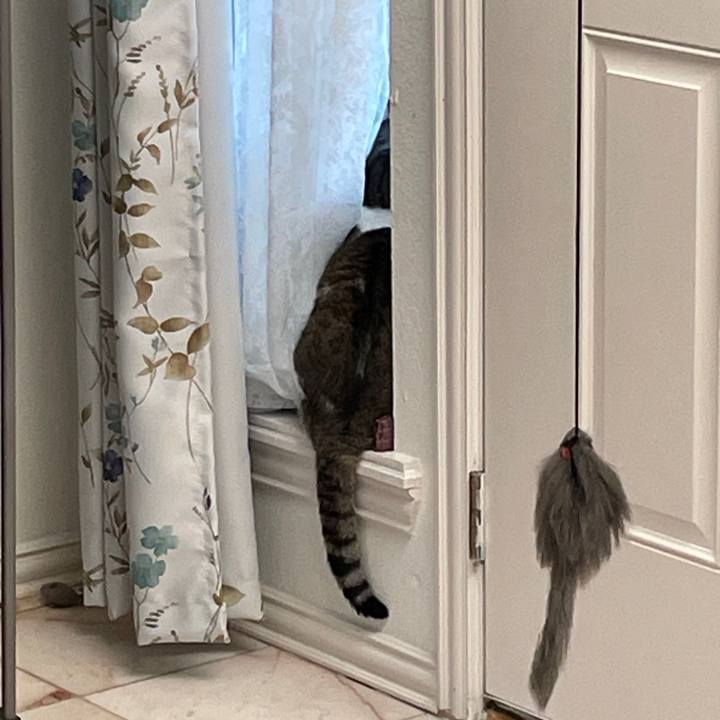 Cd73a0a8 b2fc 41c4 baa6 42b3a838fdd7 1769550948807