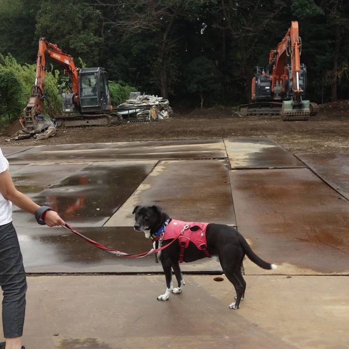 Cd73a5d3 4eec 47a4 819f 53fa4722a116 1695772654458